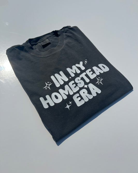 in my homestead era